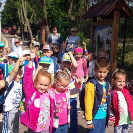 Wyświetl org. rozmiar