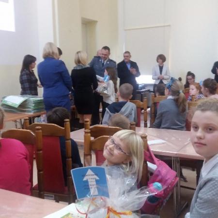 Wyświetl org. rozmiar
