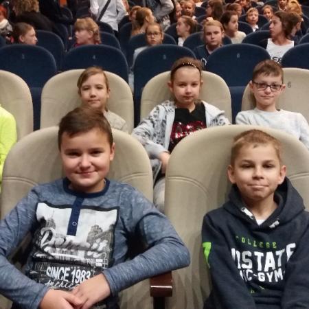 Wyświetl org. rozmiar