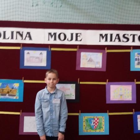 Wyświetl org. rozmiar