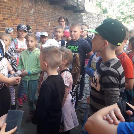 Wyświetl org. rozmiar
