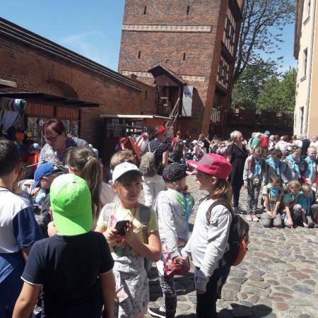 Wyświetl org. rozmiar
