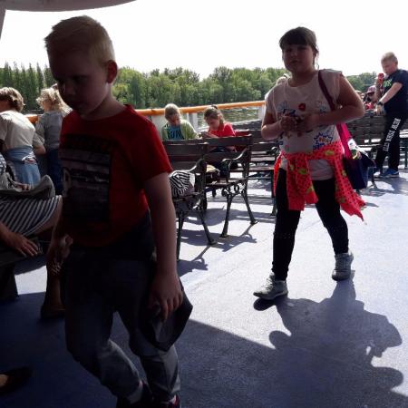 Wyświetl org. rozmiar
