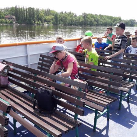 Wyświetl org. rozmiar