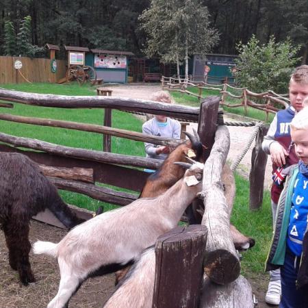 Wyświetl org. rozmiar