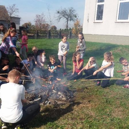 Wyświetl org. rozmiar