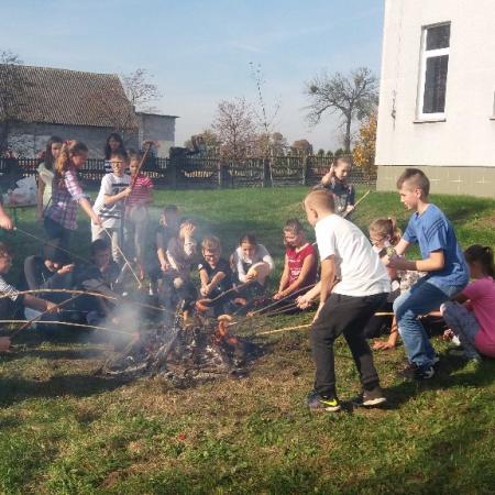 Wyświetl org. rozmiar