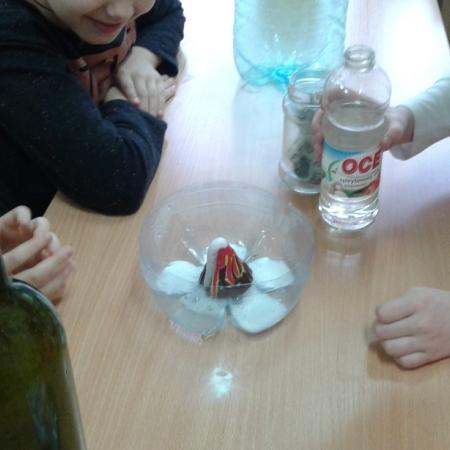 Wyświetl org. rozmiar