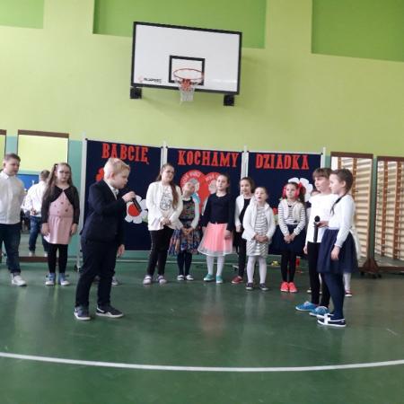 Wyświetl org. rozmiar