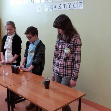 Wyświetl org. rozmiar