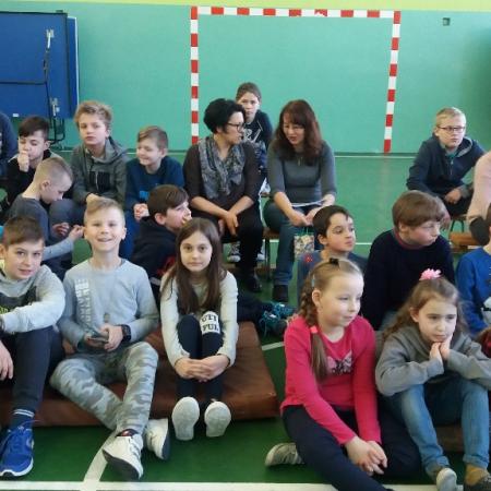 Wyświetl org. rozmiar