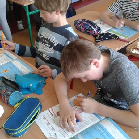 Wyświetl org. rozmiar