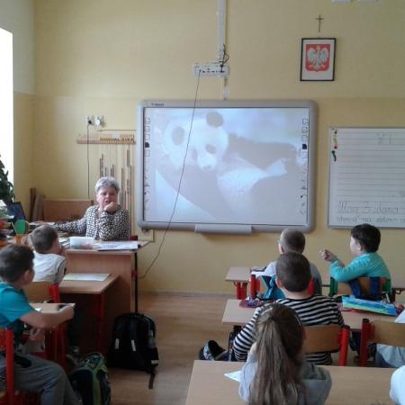 Wyświetl org. rozmiar