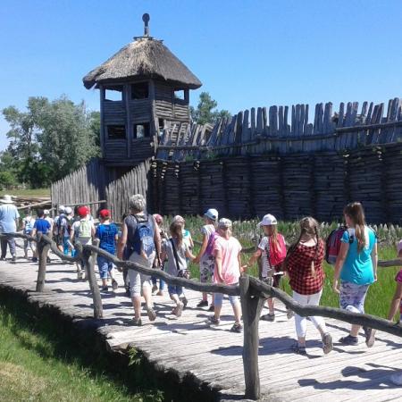 Wyświetl org. rozmiar