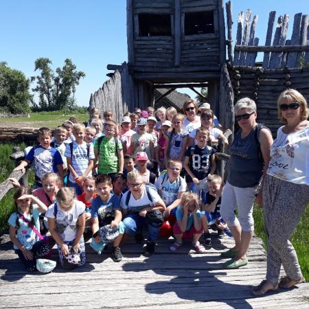 Wyświetl org. rozmiar