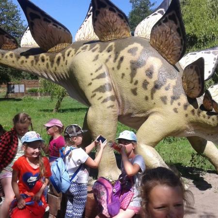 Wyświetl org. rozmiar