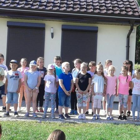 Wyświetl org. rozmiar