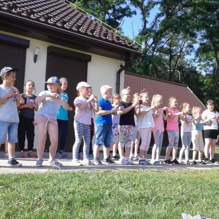 Wyświetl org. rozmiar