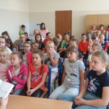 Wyświetl org. rozmiar