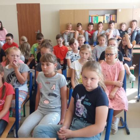 Wyświetl org. rozmiar