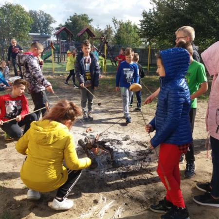 Wyświetl org. rozmiar