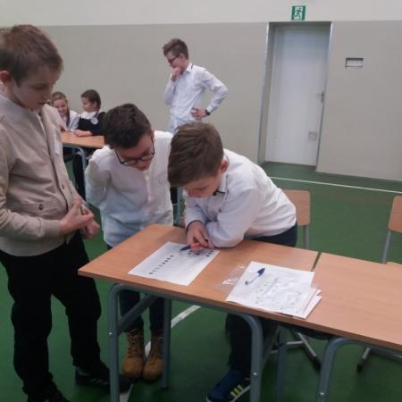 Wyświetl org. rozmiar