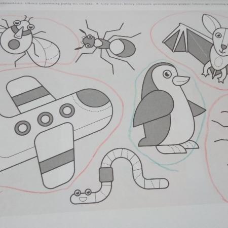Wyświetl org. rozmiar