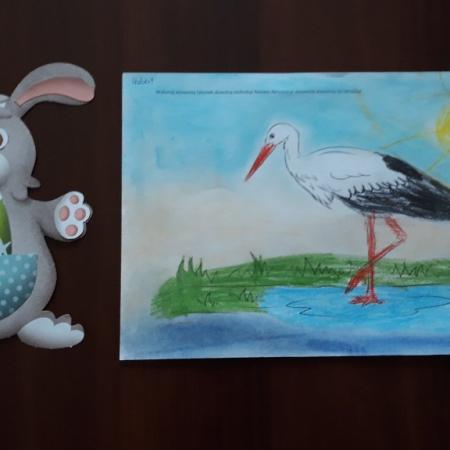 Wyświetl org. rozmiar