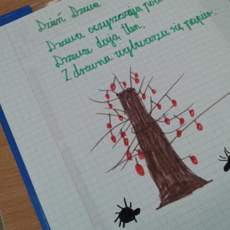 Wyświetl org. rozmiar