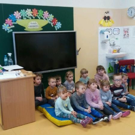 Wyświetl org. rozmiar