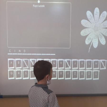 Wyświetl org. rozmiar