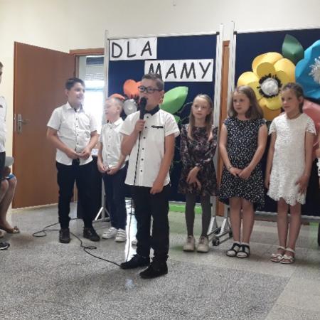 Wyświetl org. rozmiar