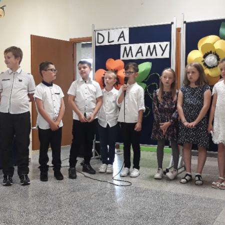 Wyświetl org. rozmiar