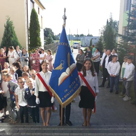 Wyświetl org. rozmiar