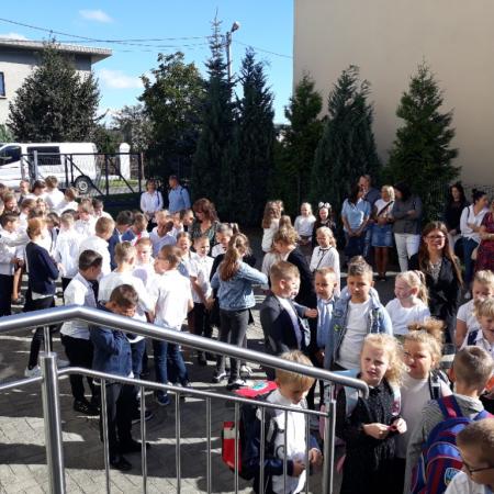 Wyświetl org. rozmiar