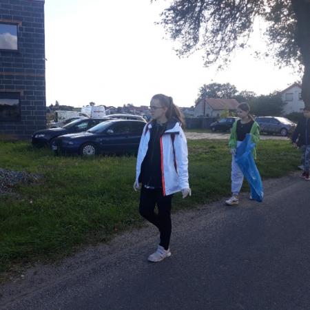Wyświetl org. rozmiar