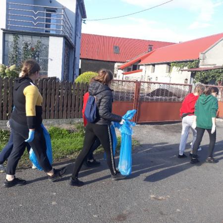 Wyświetl org. rozmiar