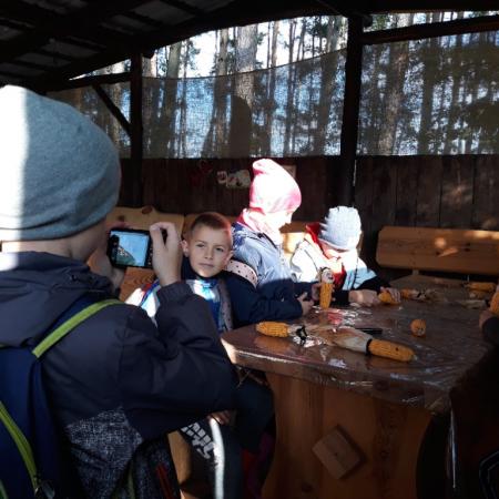 Wyświetl org. rozmiar