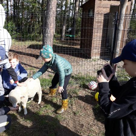 Wyświetl org. rozmiar