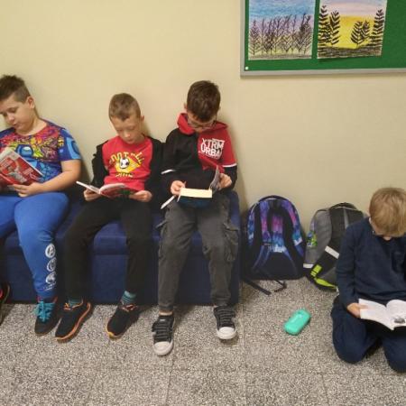 Wyświetl org. rozmiar