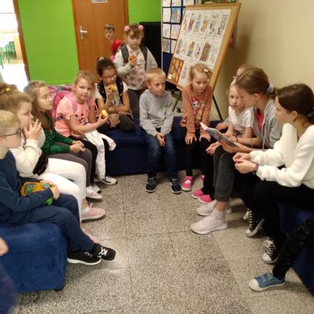Wyświetl org. rozmiar
