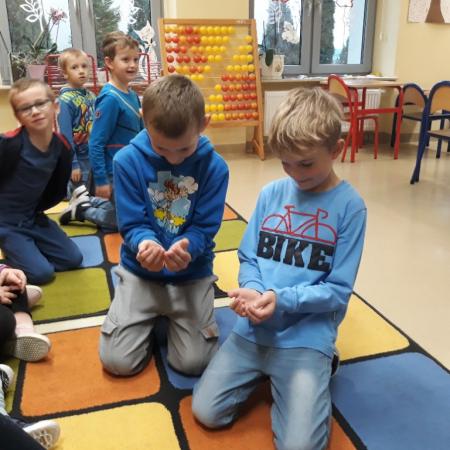 Wyświetl org. rozmiar
