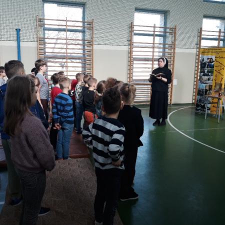 Wyświetl org. rozmiar