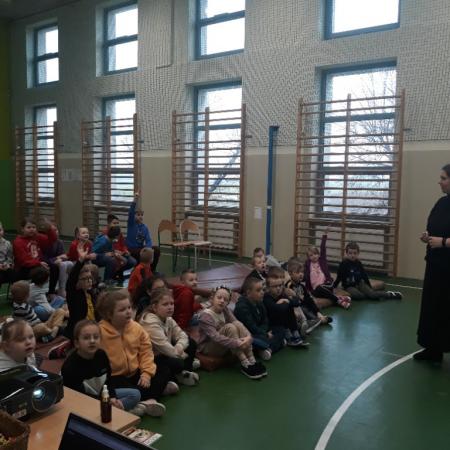 Wyświetl org. rozmiar