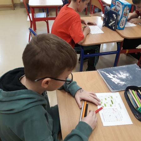 Wyświetl org. rozmiar