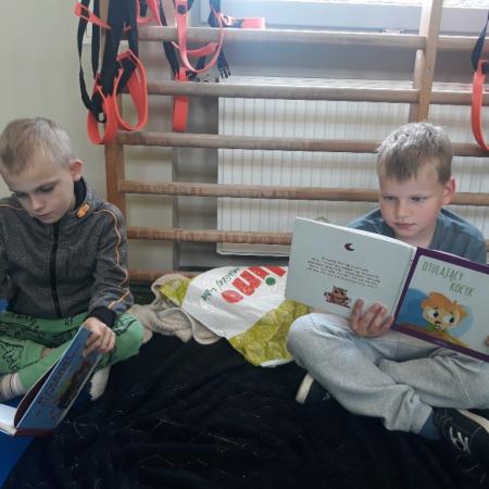 Wyświetl org. rozmiar