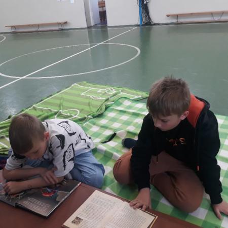 Wyświetl org. rozmiar