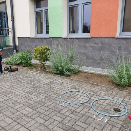 Wyświetl org. rozmiar