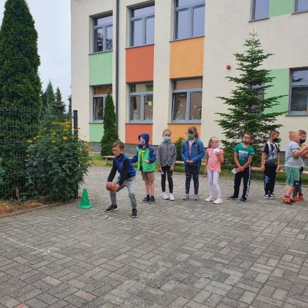 Wyświetl org. rozmiar