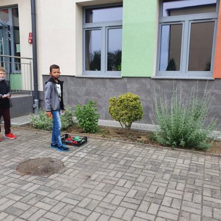 Wyświetl org. rozmiar